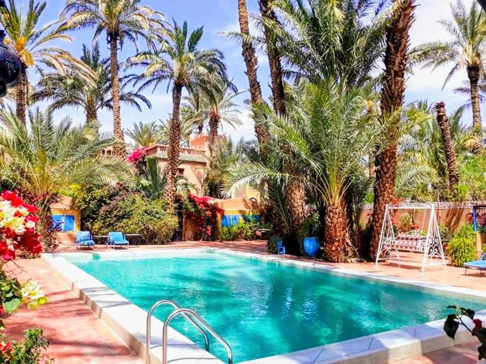扎古拉切斯阿里酒店 的棕榈树度假村内的游泳池