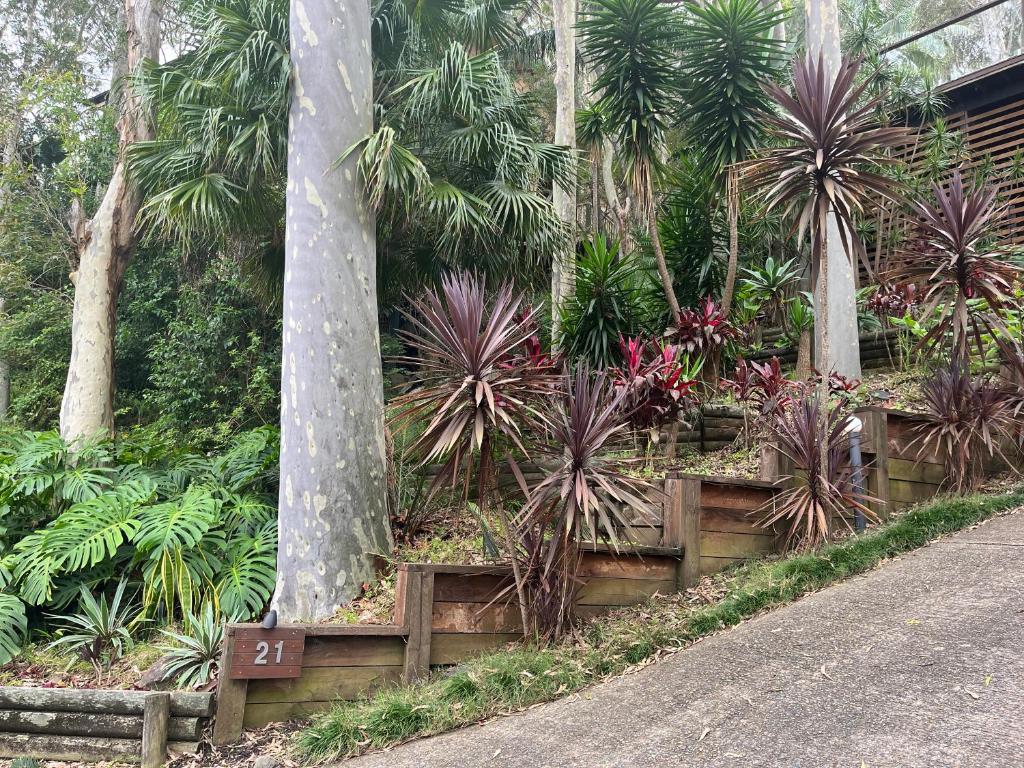 Palm beach Sydney, Modern home with water view外面的花园