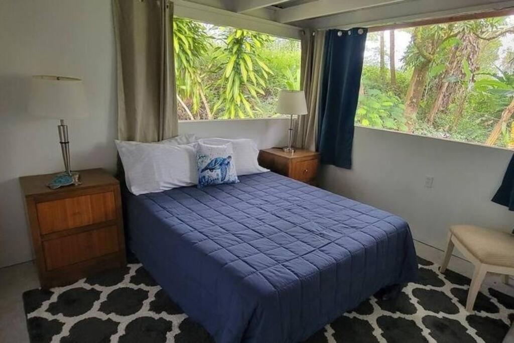 帕霍阿Rainforest Hideaway的一间卧室设有一张蓝色的床和大窗户