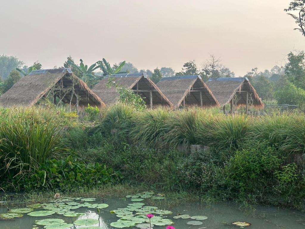Ban Nam Lai Ta TumNADOHN Camper的一群在田野的小屋,有池塘