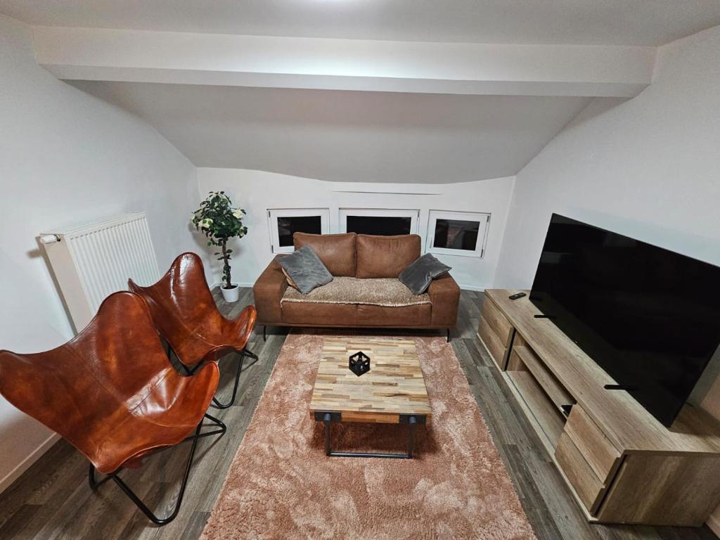 迪南Appartement Luna的带沙发和平面电视的客厅