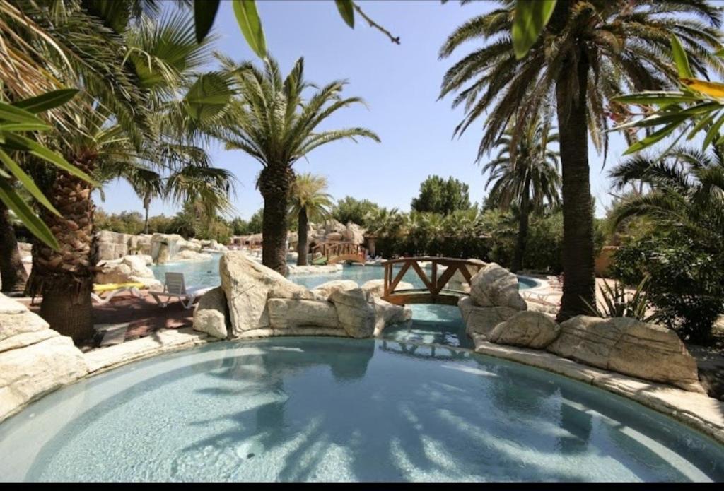 阿格德角Mobil home les sables d'or的度假村内一座种有棕榈树的大型游泳池