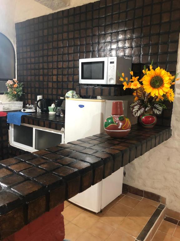伊斯塔帕Suit Junior Emano 410的厨房配有微波炉和冰箱。