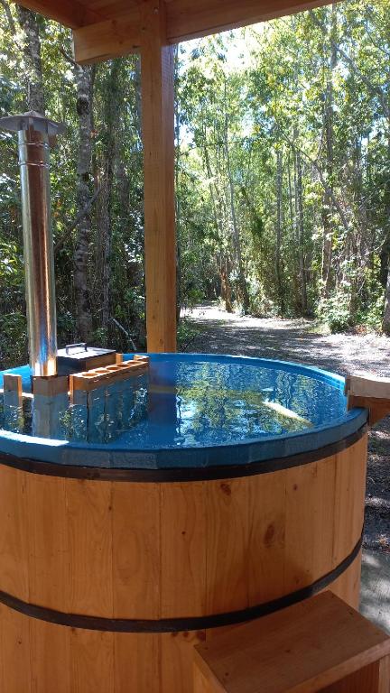 普孔Tinajas los coihues的森林中央的热水浴池