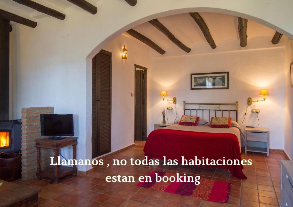 NigüelasHotel Rural Alqueria de los lentos的一间卧室配有一张床、一台电视和一个壁炉