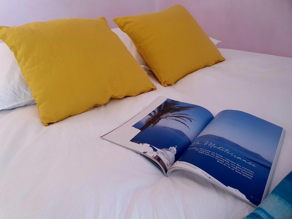 塞纳河畔伊夫里View on Paris的一本书坐在床上,上面有两个枕头