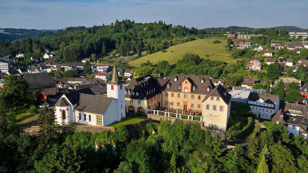 道恩Schloßhotel Kurfürstliches Amtshaus Dauner Burg的享有小镇的空中景致,设有房屋和山丘