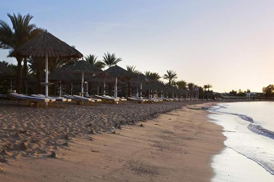 沙姆沙伊赫chalt with pool view的沙滩上,有遮阳伞和椅子,还有大海