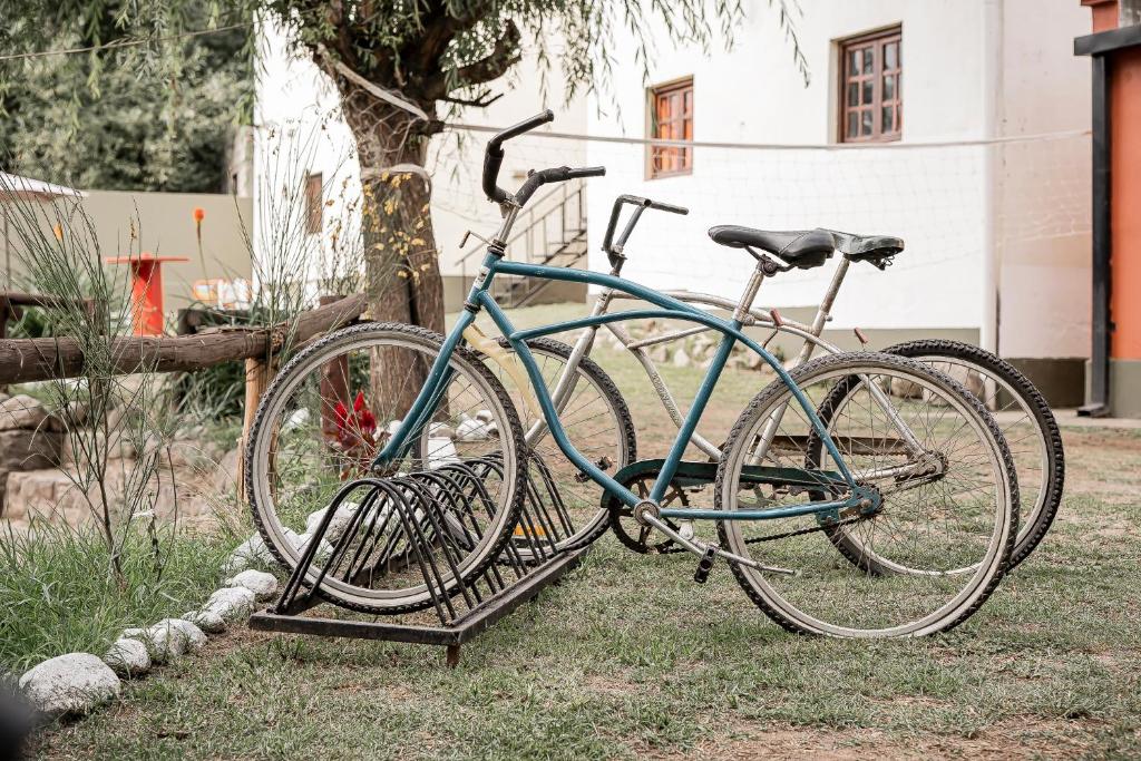 塔菲德尔瓦勒Hostal La Vidala的两辆自行车停在树旁