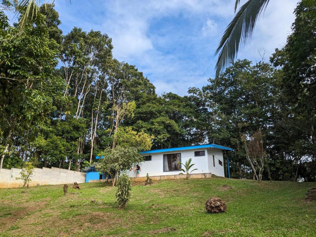TirimbinaLoma Linda Sarapiquí Casa Nueva NEW HOUSE 3bed/2bath的山丘上树木背景的房子
