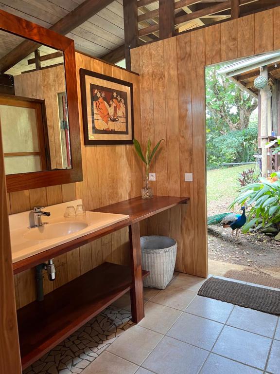 TaravaoMy Mountain Home的浴室设有水槽,外面有鸟儿