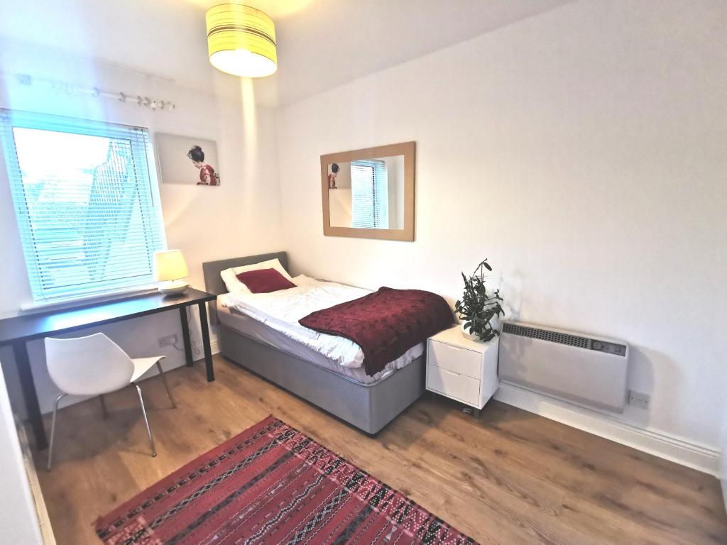 都柏林Charming apartment with big terrace in Sandymount的一间卧室配有一张床、一张书桌和一个窗户。