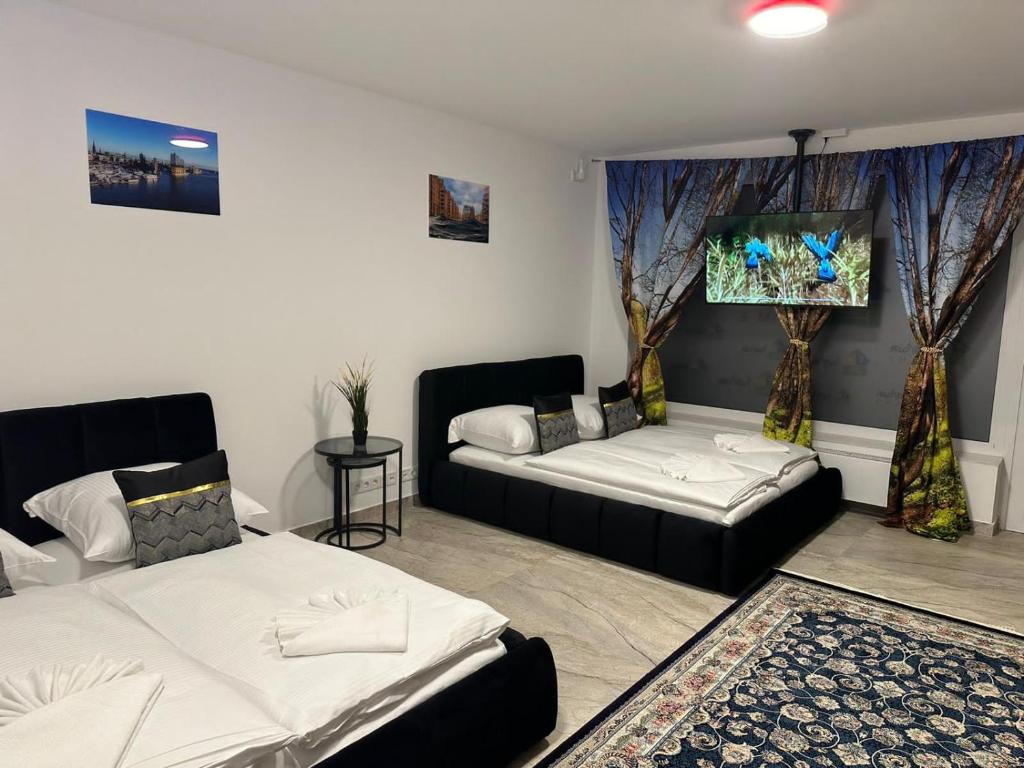 汉堡Ferienwohnung in Center of Hamburg-Barmbek-Airport-1的一间带两张床和一张沙发的客厅