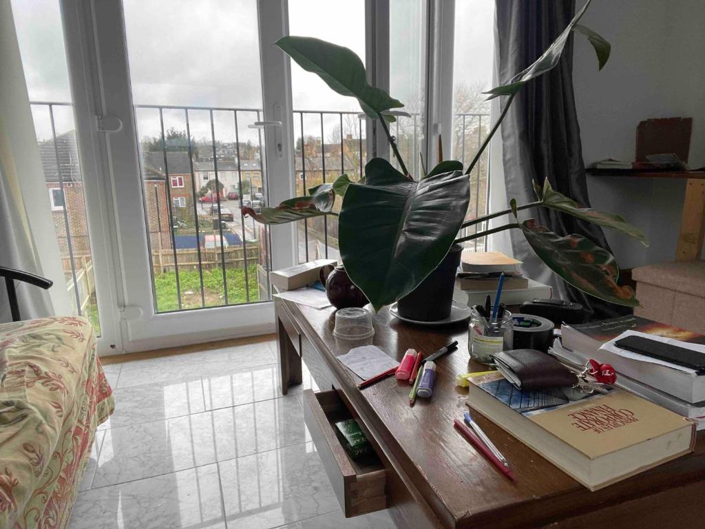 West DulwichLarge ensuite room in Dulwich (Gipsy Hill)的客厅里摆放着植物的桌子