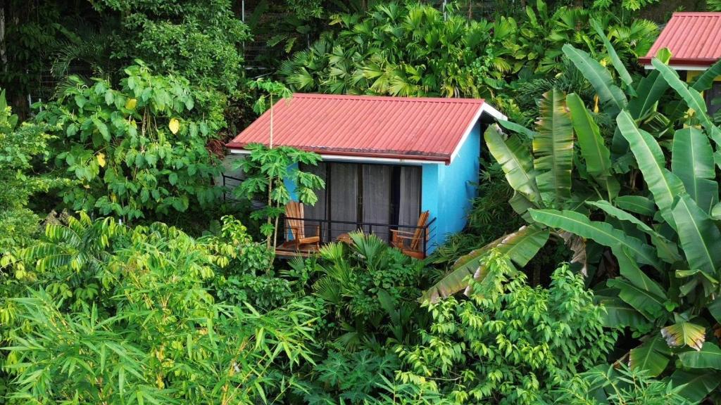 曼努埃尔安东尼奥Villas In Sueño Private Jungle Hotel的森林中一座带红色屋顶的小房子