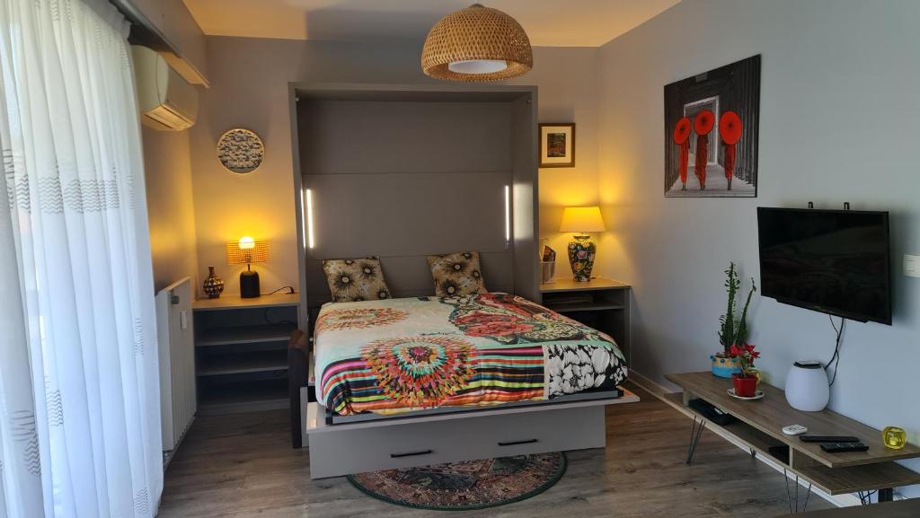 瓦洛里Golfe Juan Studio的一间卧室配有一张床、一张书桌和一台电视