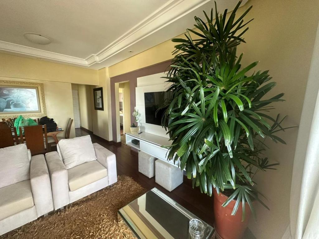 贝伦Apartamento Completo Próx Hangar的客厅配有白色沙发和植物