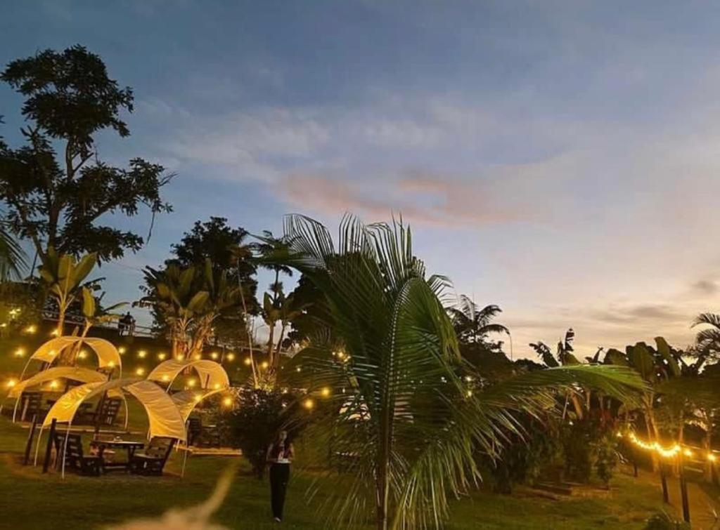 蒙特内哥罗Hotel Campestre Veredal - Quindío - Eje Cafetero的站在田野上,有帐篷和棕榈树的人