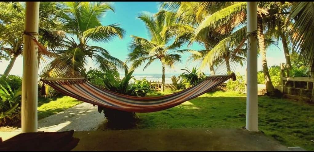 圣地亚哥Casa Playa San Diego的棕榈树和海洋海滩上的吊床