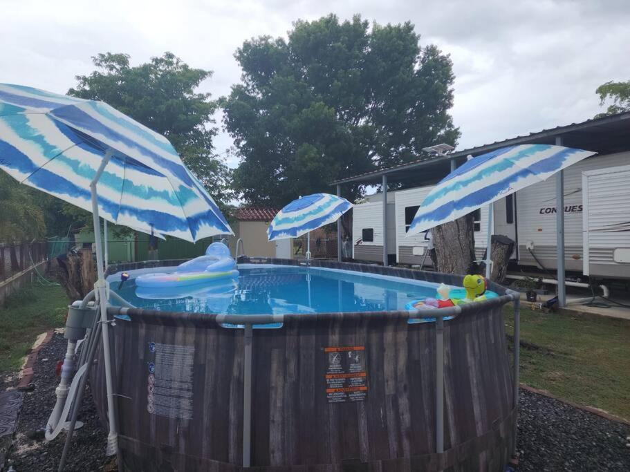 卡沃罗霍Kodesh Vacation Club, Boquerón Campers的一个带两把遮阳伞的热水浴池和一个游泳池