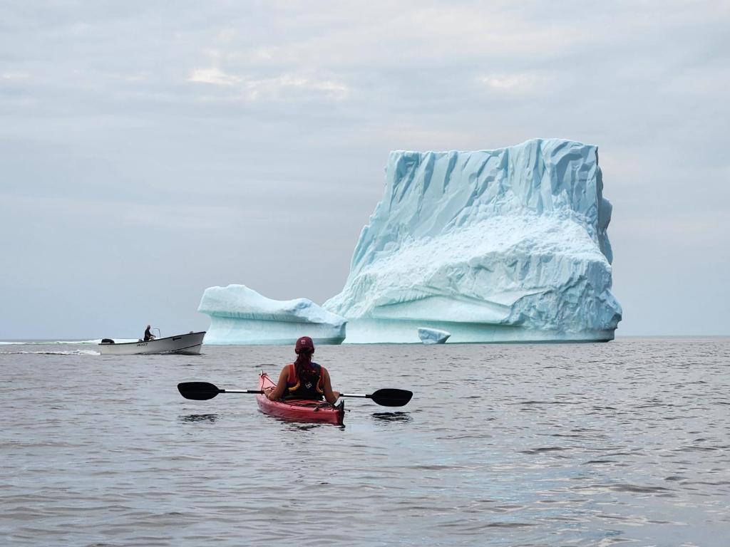 特威林盖特Seaclusion Twillingate的划着冰山的皮划艇的人