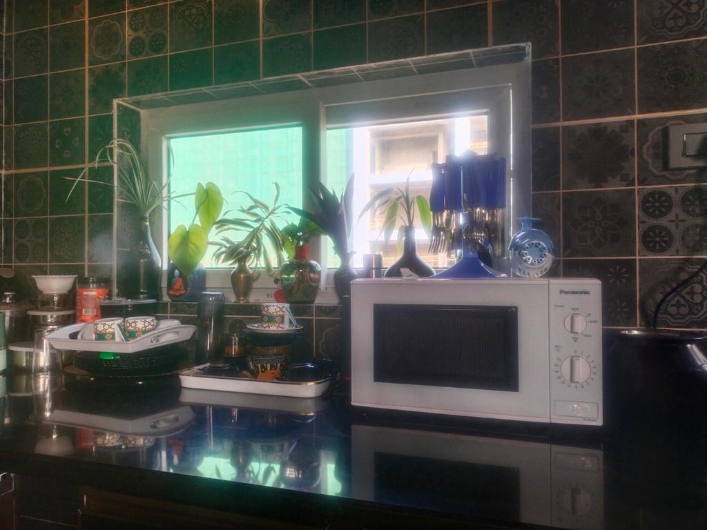 马迪凯里The two bedroom homestay的带微波炉的厨房台面和窗户