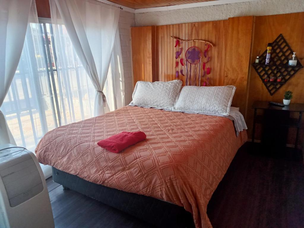 圣地亚哥Habitaciones Pabla的一间卧室,床上有红色的物体