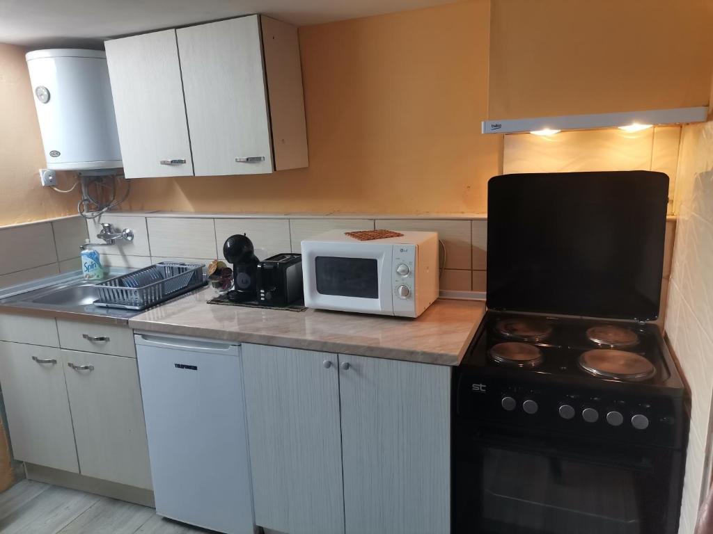 特佩杰卡Apartments Krste的厨房配有炉灶和微波炉。