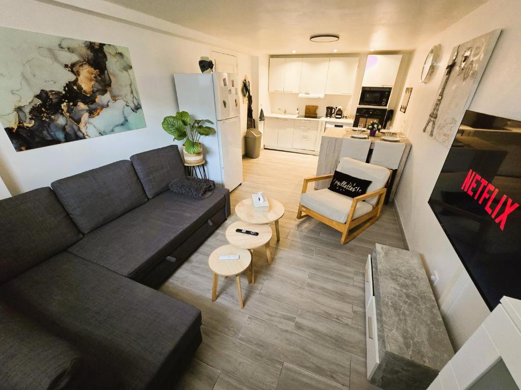 皮耶尔莱Appartement T2 confortable的带沙发的客厅和厨房