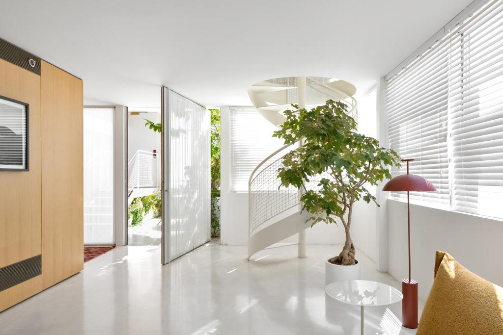 特拉维夫Rothschild 69的客厅配有桌子和盆栽植物