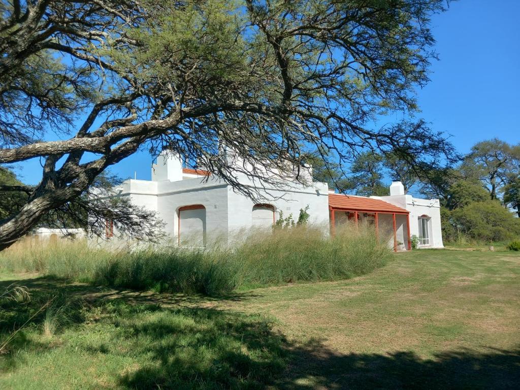 Pampa Cottage的田野里有一棵树的白色房子