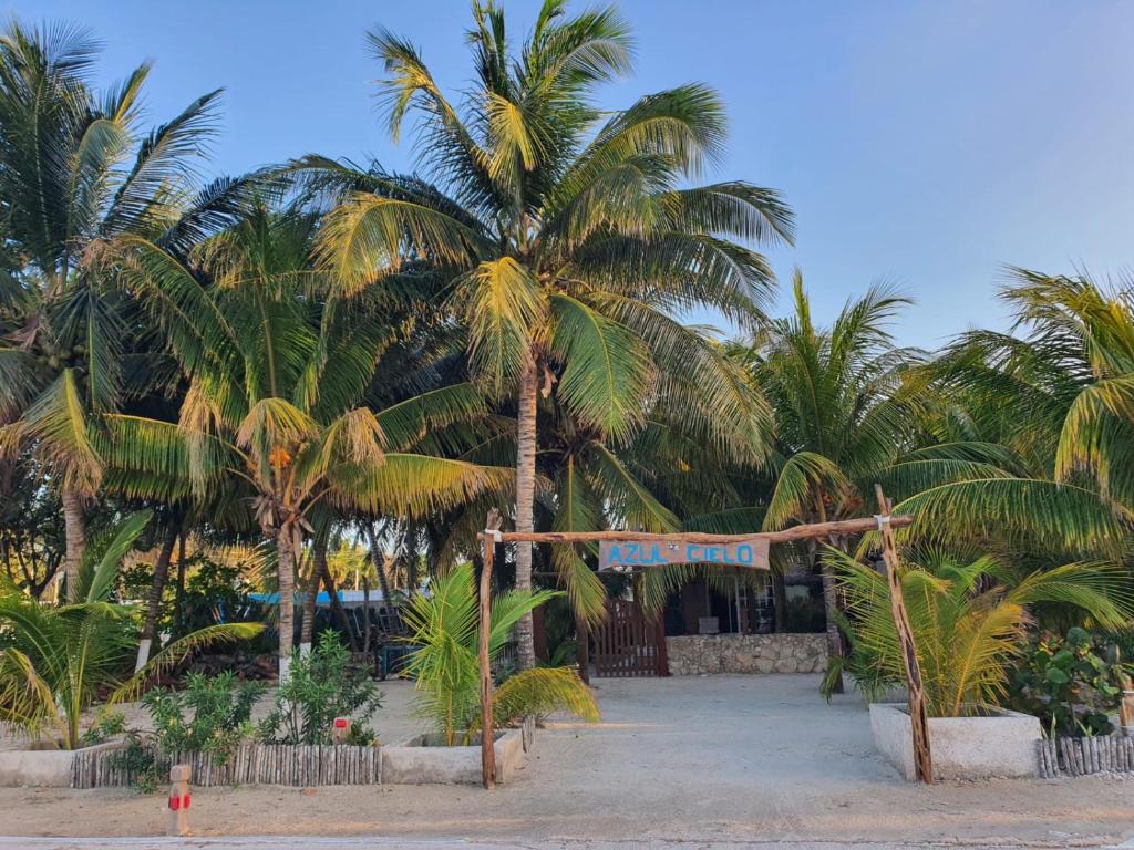 Dzilam de BravoCasa Azul Cielo的海滩上的一棵棕榈树