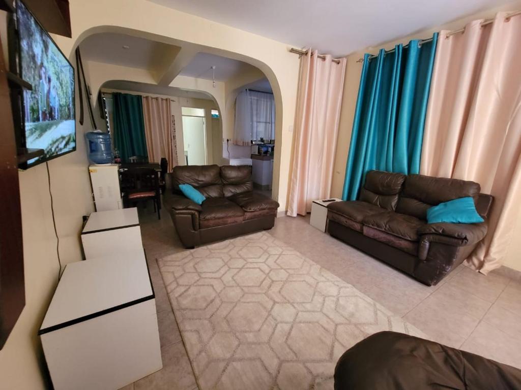基苏木Diana executive residents的客厅配有两张真皮沙发和一台电视机