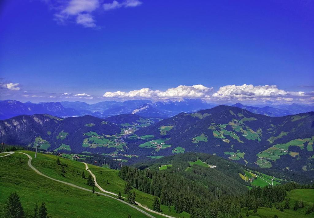 阿尔卑巴赫Apartment Haus Schönwies的享有绿色山丘和道路的景色