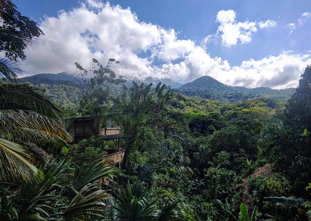 CañaveralSiwi Lodge的享有丛林美景,背景为山脉