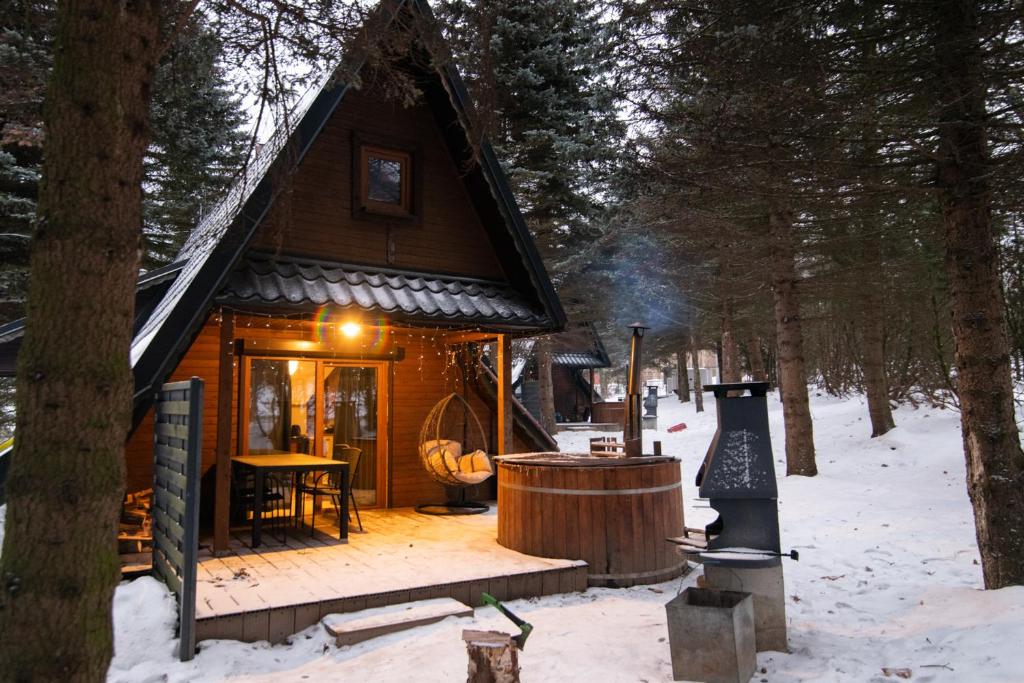 斯托尼拉斯奇Oliwne Wzgórza的雪中树林中的小屋