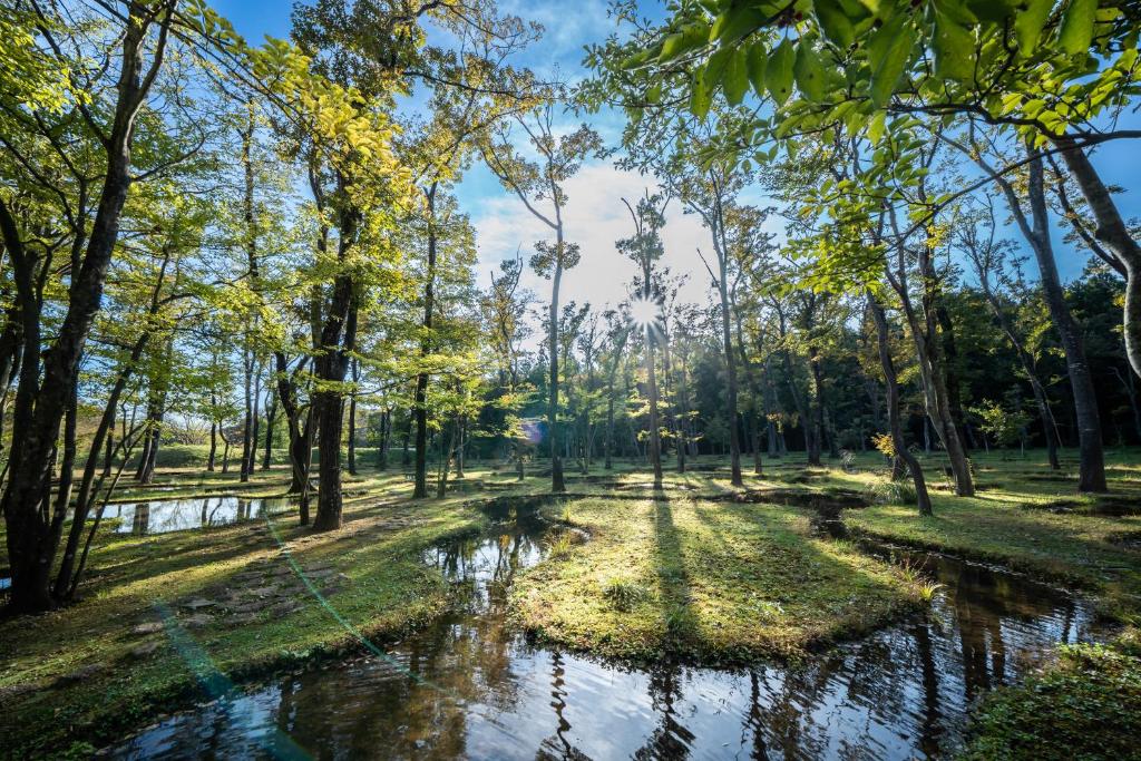 那须町nasu mukunone AUBERGE的树木繁茂的公园里的池塘