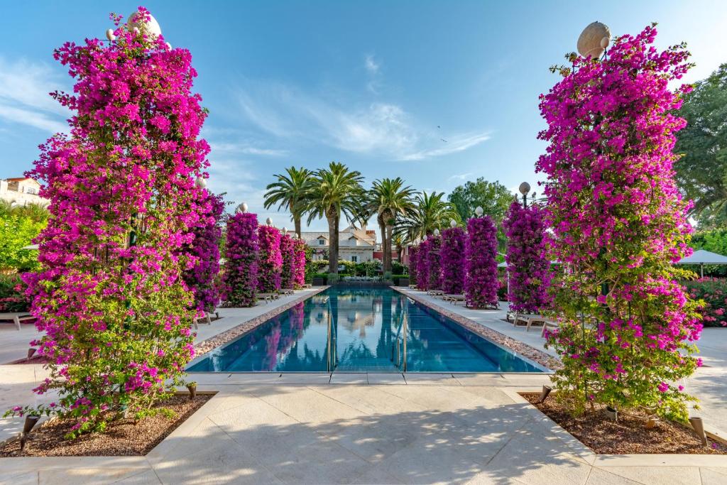 苏提万Hotel Lemongarden - Adults Only的游泳池周围一排紫色的鲜花