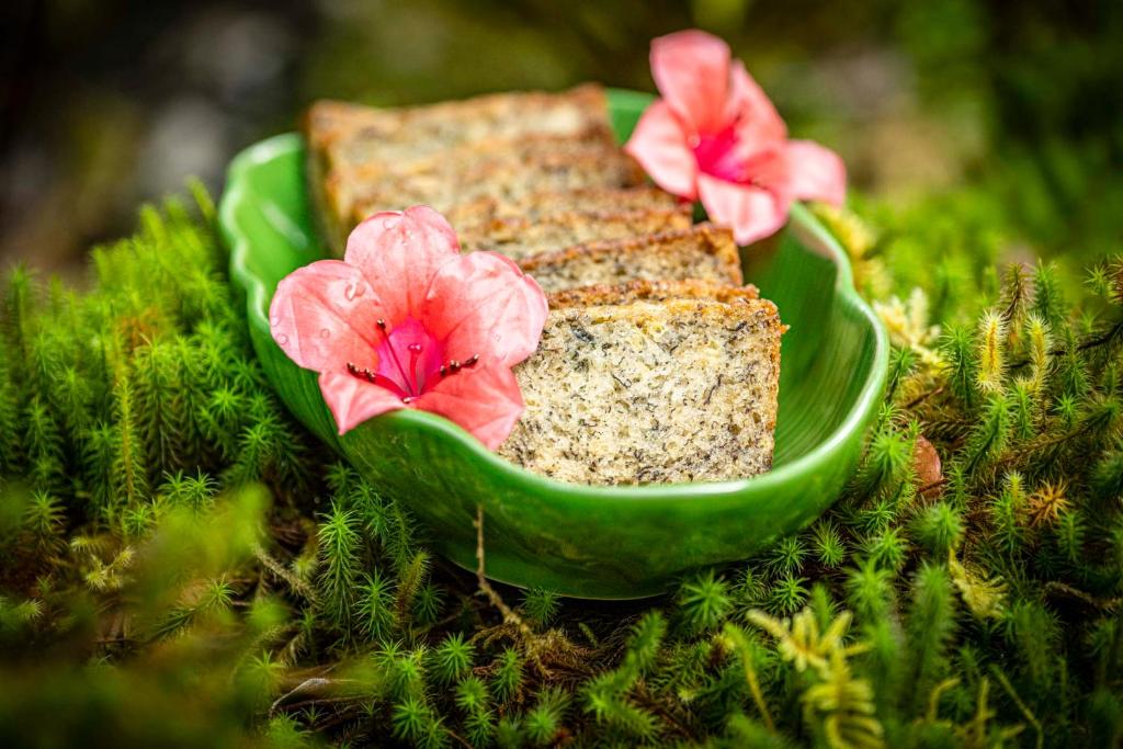 Volcano Inn Bed n Breakfast平面图