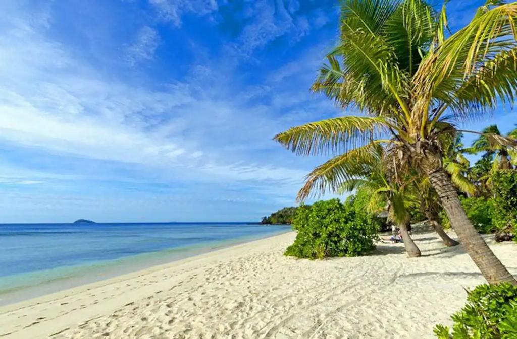 Nanuya LailaiGold Coast Inn - Adults Only的棕榈树海滩和海洋