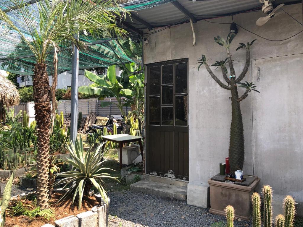 胡志明市Cactos Bar & Homestay的棕榈树花园和带门的建筑