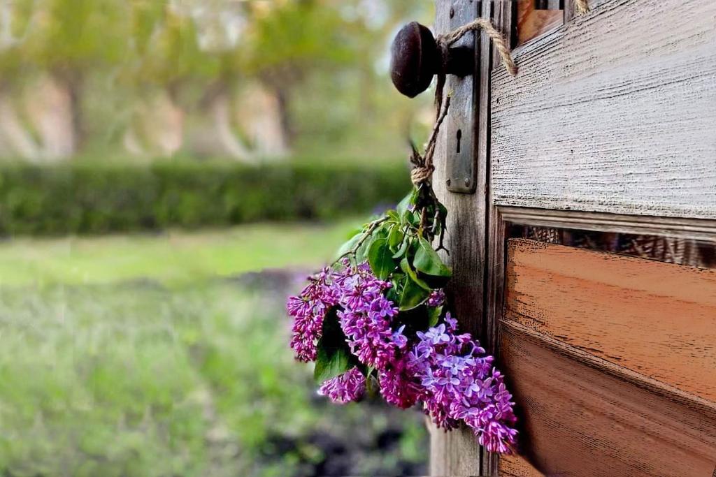 安科纳Lillac Cottage的挂在木门上的一束紫色花