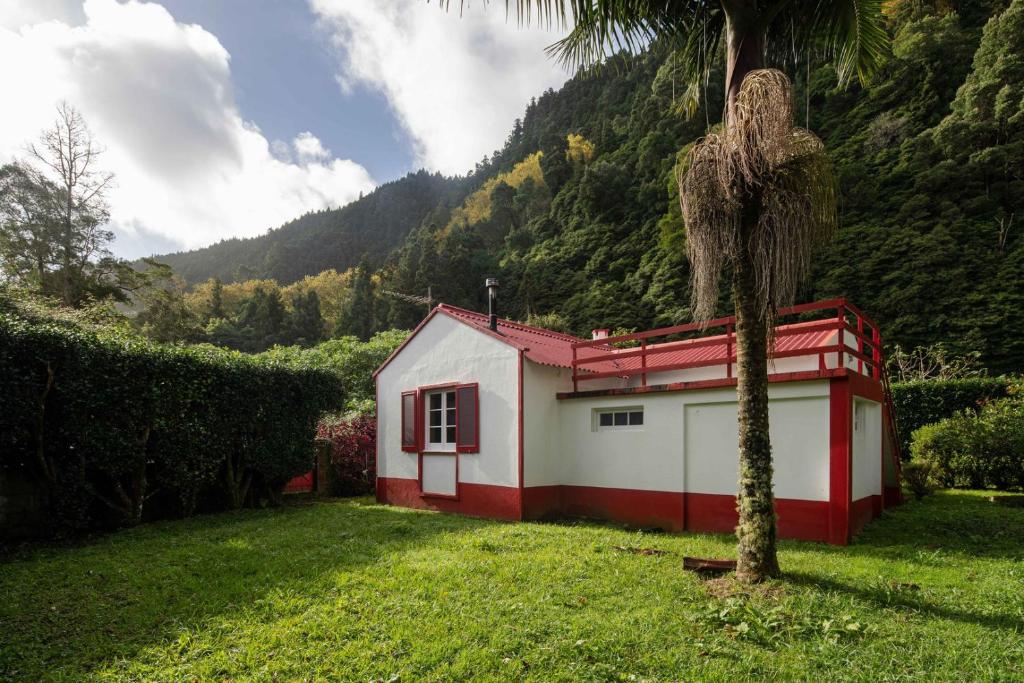 富尔纳斯WelcomeBuddy - Quinta D'Água的草上棕榈树的红白房子