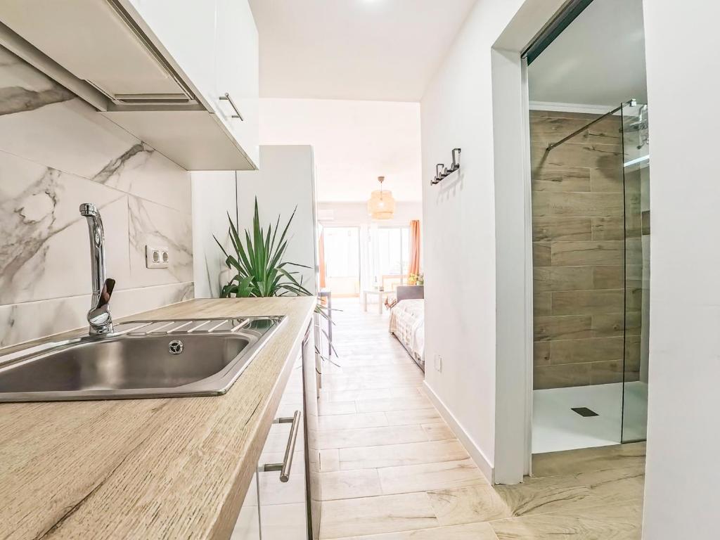 莫罗德哈布雷Casa Ari, Beautiful Ocean View的一个带水槽和淋浴的厨房