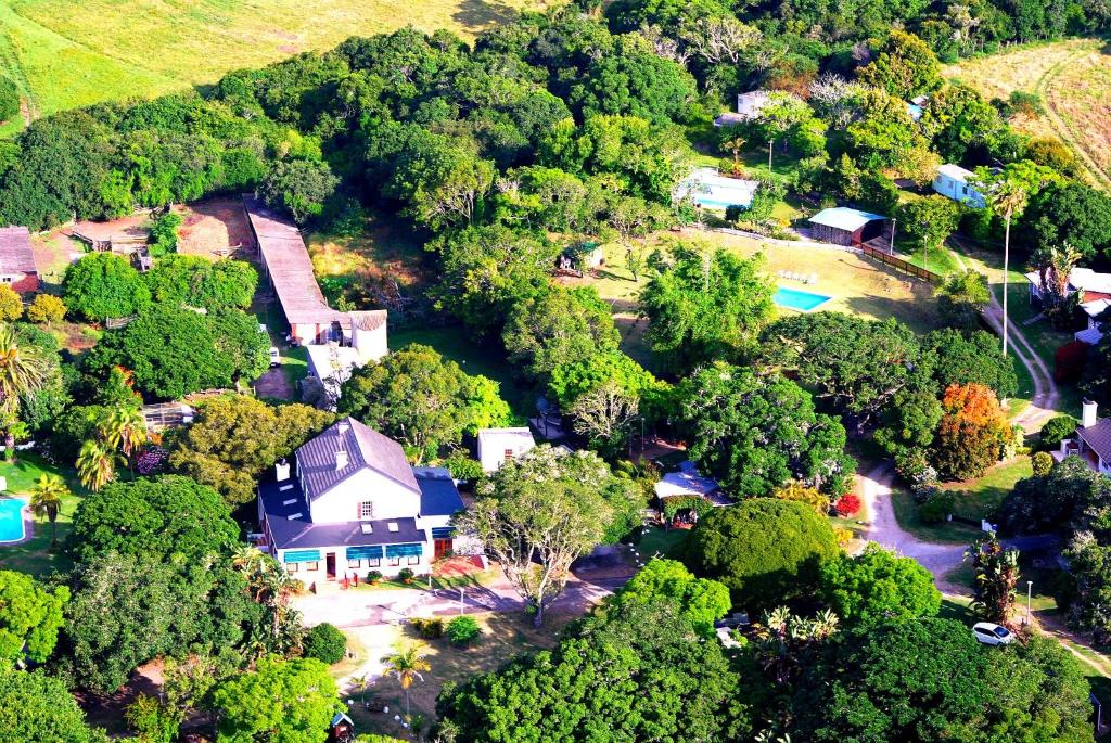 克尼斯纳Woodbourne Resort的树林中房屋的空中景观