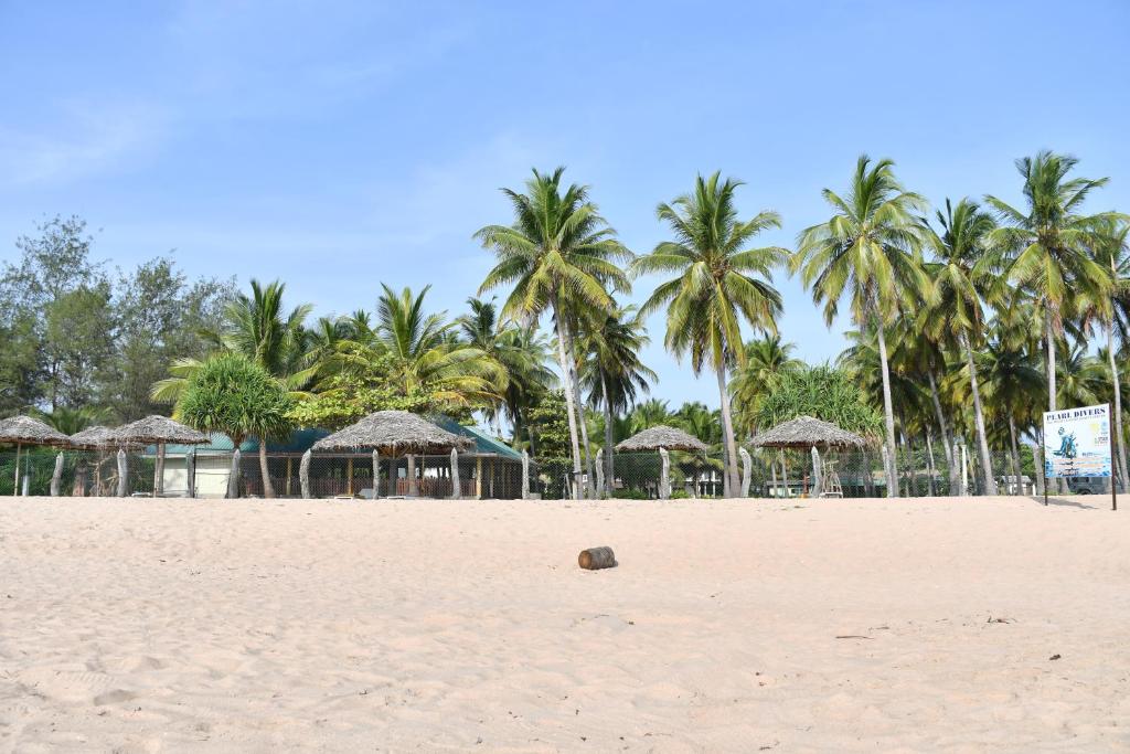 尼拉瓦利Sea Way Hotel的一片带遮阳伞和棕榈树的沙滩