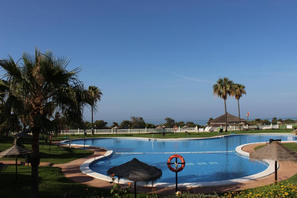 马贝拉Lunamar El mejor Resort en la mejor Playa的一个带遮阳伞和棕榈树的大型游泳池