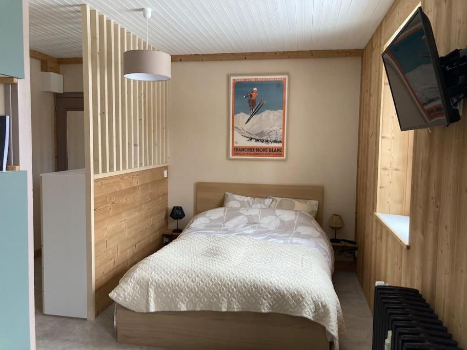 LajouxStudio chaleureux au départ des sentiers et pistes de ski的一间卧室配有一张床和一台电视