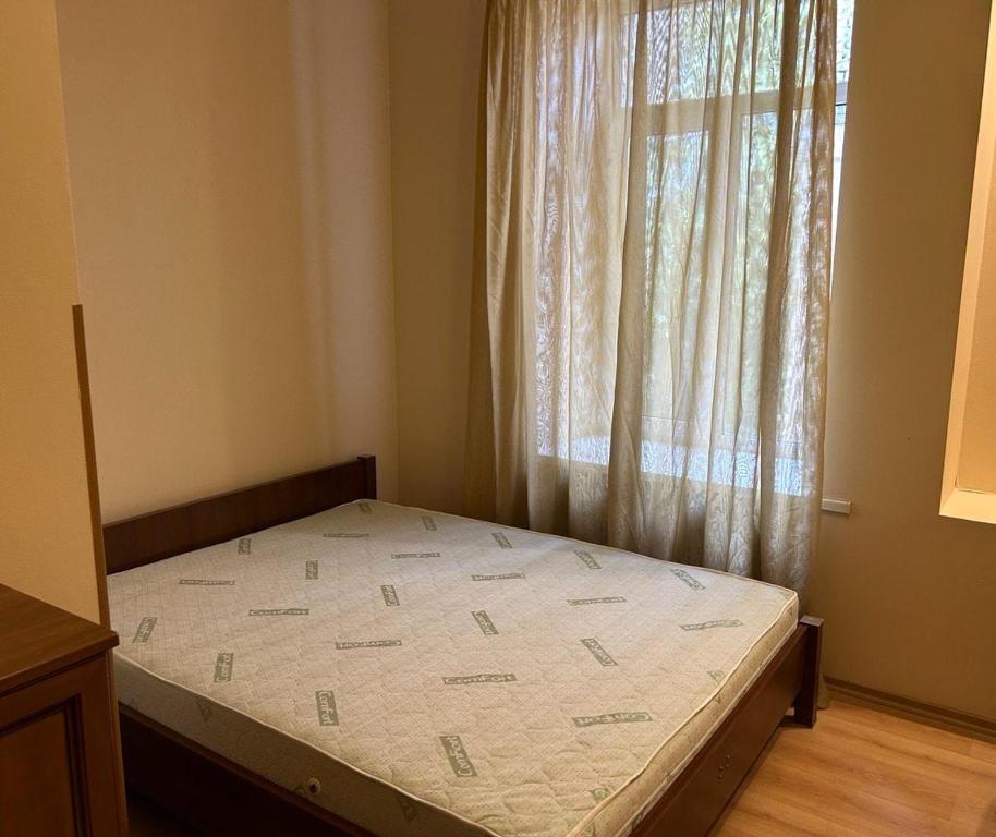 基辅Апартаменти 3-кімнатні, м. Майдан Незалежності的一间卧室设有一张大床和大窗户