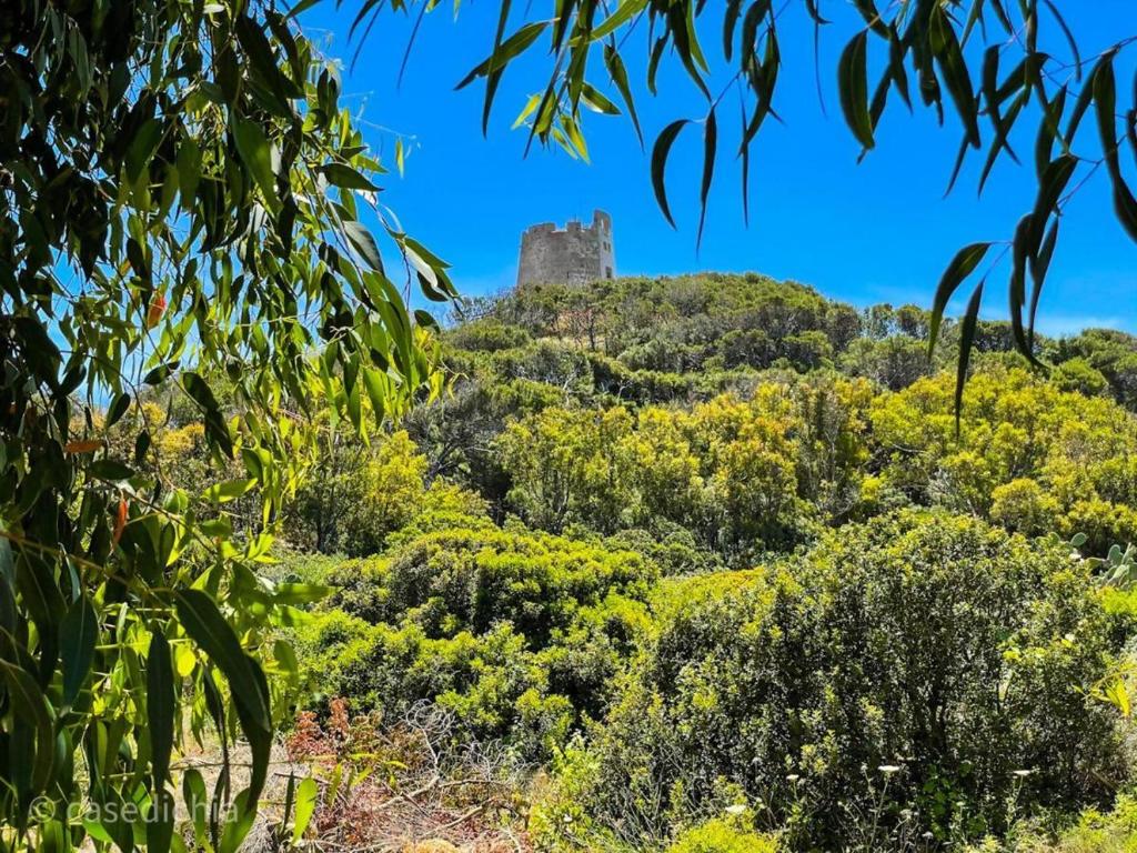 奇亚Torre di Chia Holiday Home的一座树冠茂密的山顶上的城堡